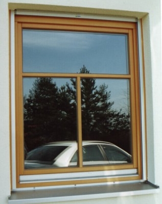 fenster2